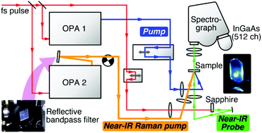 Graphical abstract: Development of a femtosecond time-resolved near-IR multiplex stimulated Raman spectrometer in resonance with transitions in the 900–1550 nm region