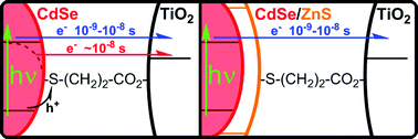Graphical abstract: Photoinduced electron transfer from quantum dots to TiO2: elucidating the involvement of excitonic and surface states