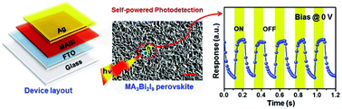 Graphical abstract: Air-stable lead-free hybrid perovskite employing self-powered photodetection with an electron/hole-conductor-free device geometry
