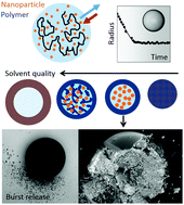 Graphical abstract: Polymer nanocomposite capsules formed by droplet extraction: spontaneous stratification and tailored dissolution