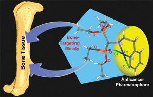 Graphical abstract: Platinum(ii) compounds bearing bone-targeting group: synthesis, crystal structure and antitumor activity