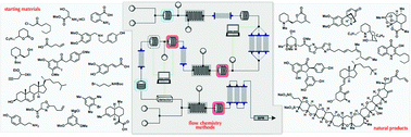Graphical abstract: Flow chemistry syntheses of natural products
