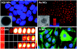 Graphical abstract: Ultra-small fluorescent inorganic nanoparticles for bioimaging