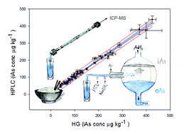 Graphical abstract: Hydride generation ICP-MS as a simple method for determination of inorganic arsenic in rice for routine biomonitoring