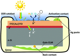 Graphical abstract: Si photoanode protected by a metal modified ITO layer with ultrathin NiOx for solar water oxidation