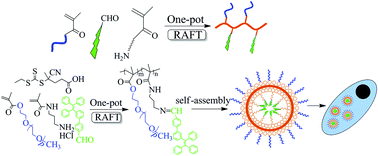 Graphical abstract: One-pot synthesis and biological imaging application of an amphiphilic fluorescent copolymer via a combination of RAFT polymerization and Schiff base reaction
