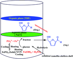 Graphical abstract: One-pot synthesis of 5-hydroxymethylfurfural from carbohydrates using an inexpensive FePO4 catalyst