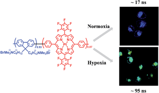 Graphical abstract: Fluorescent/phosphorescent dual-emissive conjugated polymer dots for hypoxia bioimaging