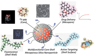 Graphical abstract: Mesoporous silica nanoparticles for 19F magnetic resonance imaging, fluorescence imaging, and drug delivery