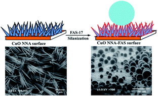 Graphical abstract: Superhydrophobic CuO nanoneedle-covered copper surfaces for anticorrosion