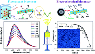 Graphical abstract: Electrospinning graphene quantum dots into a nanofibrous membrane for dual-purpose fluorescent and electrochemical biosensors