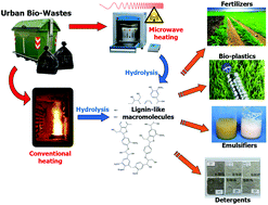 Graphical abstract: Conventional and microwave assisted hydrolysis of urban biowastes to added value lignin-like products