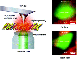 Graphical abstract: Nanoscale mapping of excitonic processes in single-layer MoS2 using tip-enhanced photoluminescence microscopy