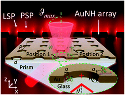 Graphical abstract: Directional fluorescence emission co-enhanced by localized and propagating surface plasmons for biosensing