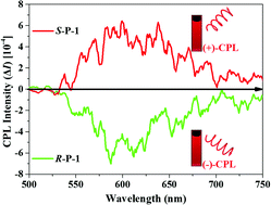 Graphical abstract: Red colored CPL emission of chiral 1,2-DACH-based polymers via chiral transfer of the conjugated chain backbone structure