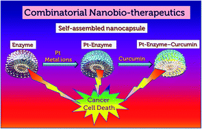 Graphical abstract: Intrinsic therapeutic and biocatalytic roles of ionic liquid mediated self-assembled platinum–phytase nanospheres