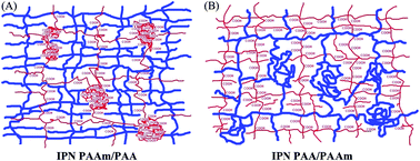 Graphical abstract: In situ calcium phosphate deposition in hydrogels of poly(acrylic acid)–polyacrylamide interpenetrating polymer networks