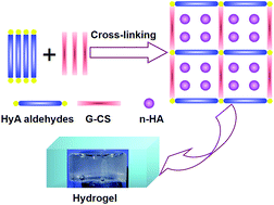 Graphical abstract: An injectable nano-hydroxyapatite (n-HA)/glycol chitosan (G-CS)/hyaluronic acid (HyA) composite hydrogel for bone tissue engineering