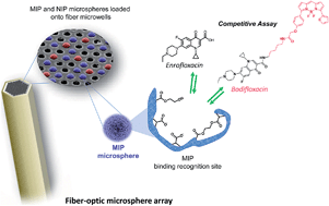 Graphical abstract: Fiber-optic array using molecularly imprinted microspheres for antibiotic analysis