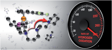 Graphical abstract: Increasing the rate of hydrogen oxidation without increasing the overpotential: a bio-inspired iron molecular electrocatalyst with an outer coordination sphere proton relay