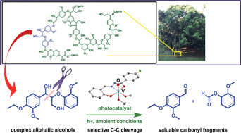 Graphical abstract: Selective photocatalytic C–C bond cleavage under ambient conditions with earth abundant vanadium complexes