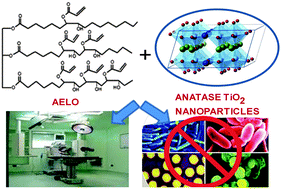 Graphical abstract: Development of linseed oil–TiO2 green nanocomposites as antimicrobial coatings