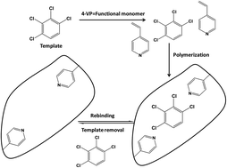 Graphical abstract: Molecularly imprinted polymers for the analysis and removal of polychlorinated aromatic compounds in the environment: a review