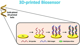 Graphical abstract: DNA biosensing with 3D printing technology