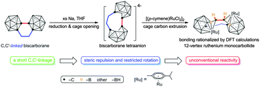 Graphical abstract: Unique properties of C,C′-linked nido-biscarborane tetraanions. Synthesis, structure and bonding of ruthenium monocarbollide via unprecedented cage carbon extrusion