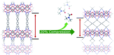 Graphical abstract: Structural response to desolvation in a pyridyl-phenanthrene diarylethene-based metal–organic framework