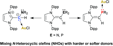 Graphical abstract: Structurally versatile phosphine and amine donors constructed from N-heterocyclic olefin units