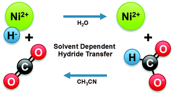 Graphical abstract: Solvent influence on the thermodynamics for hydride transfer from bis(diphosphine) complexes of nickel
