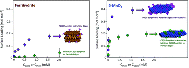Graphical abstract: Sorption selectivity of birnessite particle edges: a d-PDF analysis of Cd(ii) and Pb(ii) sorption by δ-MnO2 and ferrihydrite