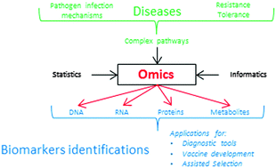 Graphical abstract: Omics approaches to probe markers of disease resistance in animal sciences