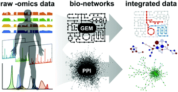 Graphical abstract: Integrative analysis of human omics data using biomolecular networks