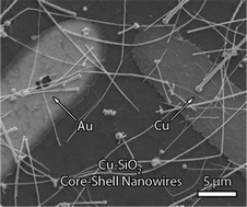 Graphical abstract: High-speed, solution-coatable memory based on Cu–SiO2 core–shell nanowires