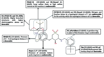 Graphical abstract: Understanding the structural requirements of cyclic sulfone hydroxyethylamines as hBACE1 inhibitors against Aβ plaques in Alzheimer's disease: a predictive QSAR approach