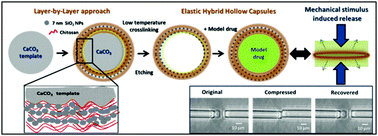 Graphical abstract: Mechanical stimuli responsive and highly elastic biopolymer/nanoparticle hybrid microcapsules for controlled release