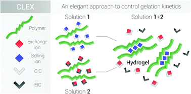 Graphical abstract: Competitive ligand exchange of crosslinking ions for ionotropic hydrogel formation