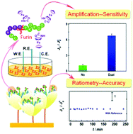 Graphical abstract: A ratiometric electrochemical strategy for sensitive determination of Furin activity based on dual signal amplification and antifouling nanosurfaces