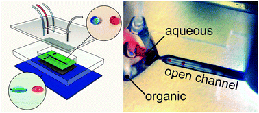 Graphical abstract: Open-channel, water-in-oil emulsification in paper-based microfluidic devices
