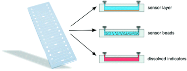 Graphical abstract: Integration and application of optical chemical sensors in microbioreactors