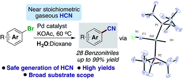 Graphical abstract: Ex situ generation of stoichiometric HCN and its application in the Pd-catalysed cyanation of aryl bromides: evidence for a transmetallation step between two oxidative addition Pd-complexes