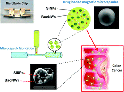 Graphical abstract: Multifunctional microspherical magnetic and pH responsive carriers for combination anticancer therapy engineered by droplet-based microfluidics