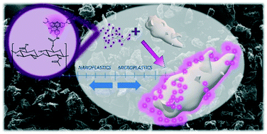 Graphical abstract: Fluorogenic hyaluronan nanogels for detection of micro- and nanoplastics in water