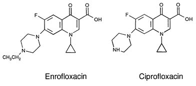 Difference between enrofloxacin ciprofloxacin eye Difference between enrofloxacin ciprofloxacin eye