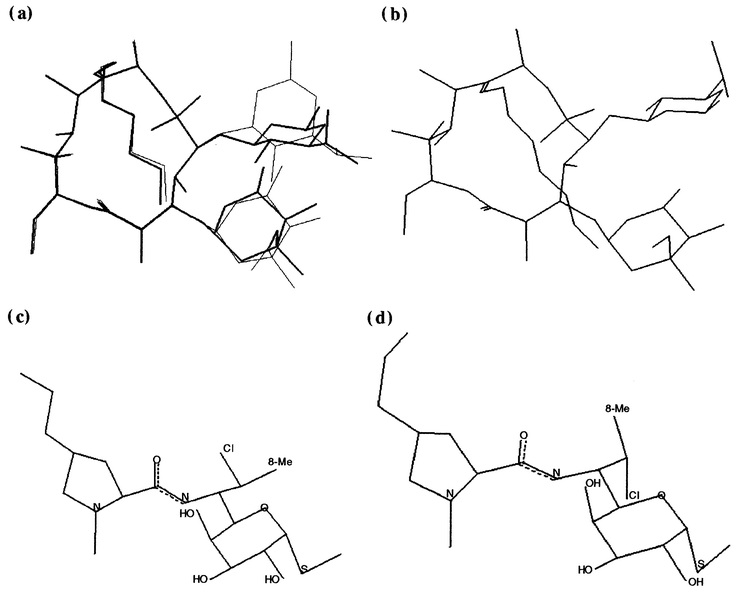 entocort enema product monograph