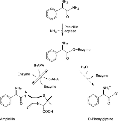 Where I Can Order Aspirin and Dipyridamole Online