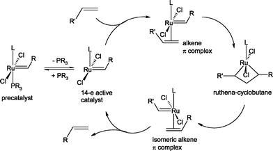 Ruthenium olefin metathesis catalyst