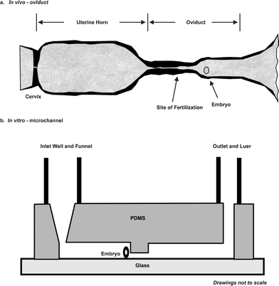 Sperm funnel bit torrent Sperm funnel bit torrent